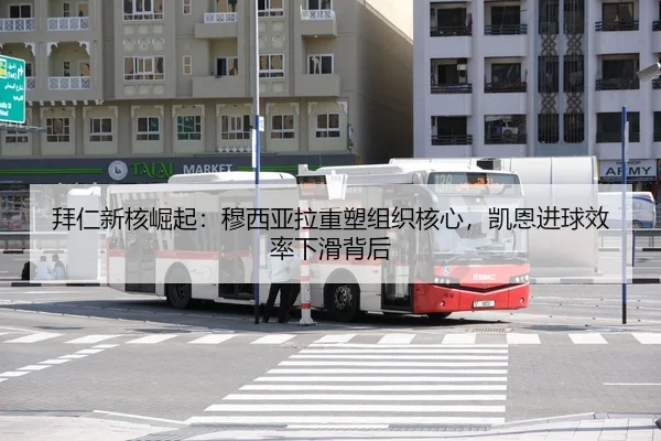 bai-ren-xin-he-jue-qi-mu-xi-ya-la-zhong-su-zu-zhi-he-xin-kai-en-jin-qiu-xiao-lv-xia-hua-bei-hou-3-522.jpg