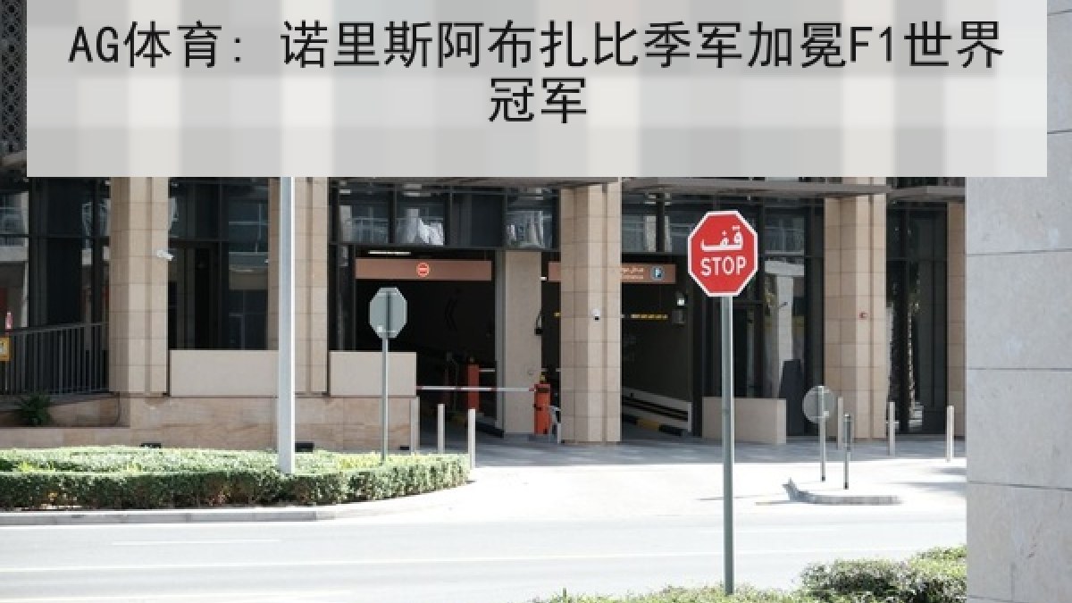 AG体育: 诺里斯阿布扎比季军加冕F1世界冠军