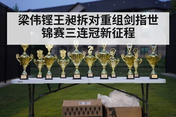 梁伟铿王昶拆对重组剑指世锦赛三连冠新征程